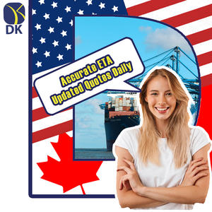 DDP, экспедитор, Китай, Австралия, Южная Африка, Нигерия - Product Image 1