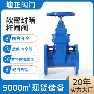 วาล์วประตูเหล็กดัดชนิด Tzd Tangzheng พร้อมก้านซ่อน ซีลนุ่ม แบบประตูเดี่ยว สำหรับน้ำ อากาศ น้ำมัน - Product Image 3