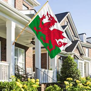 Оптовая продажа, высокое качество, 3 Х5 футов, двойная прошивка, дешевая цена, полиэстер, большие флаги страны с изображением дракона и Уэльса - Product Image 5