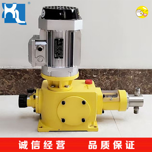 ปั๊มจ่ายสารเคมีแบบลูกสูบ Qingdao Giant Pump รุ่น Dz-X1.250 แรงดัน 50 บาร์ แบบดูดเดี่ยวแนวนอน อัตราการจ่าย 0.012 ลิตรต่อนาที - Product Image 4