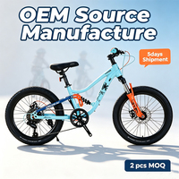 Vélo VTT Enfant Tout Suspendu 20-22 Pouces avec Double Amortisseur et Frein à Disque pour Adolescents – Fabrication OEM, Vente Chaude