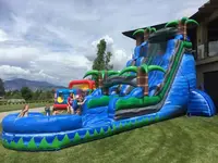 Children's Water Slides, Bouncy Castle, Swimming Pool