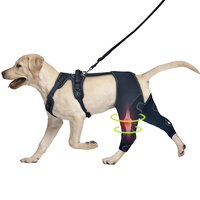 Attelle de genou pour chien avec harnais de laisse de sécurité pour les blessures à la jambe arrière ACL déchiré Douleur articulaire Anti-léchage Manchon de soutien pour jambe d'animal de compagnie Genouillère
