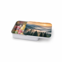 Boîte rectangulaire coulissante en métal pour bonbons, baume à lèvres, parfum solide, bijoux, fournitures d'artisanat, taille personnalisée, OEM, ODM, emballage en gros