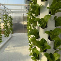 Système hydroponique Légumes Cultiver Pétale Tour Système d'irrigation Serre Fraise Vertical Jardinage Tour