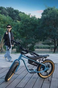 Bicicletta Elettrica per Bambini 16 Pollici Mini 24v4a 6-12 Anni Piccola Bici Quadrata Retrò per Ragazzi e Ragazze - Product Image 2