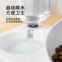 Distributeur d'eau automatique pour animaux de compagnie et bol à boire deux-en-un pour chat/chien avec alimentation automatique