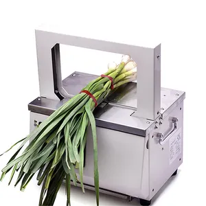 High Quality Automatic tie wrap machine tabletop vegetables strapping machine banding machine for incense