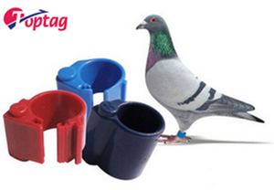<span class=keywords><strong>TK4100</strong></span> EM4305 134.2Khz Rfid Duif Tag Kip Voet <span class=keywords><strong>Ring</strong></span> Voor Pluimvee Farm - Product Image 6