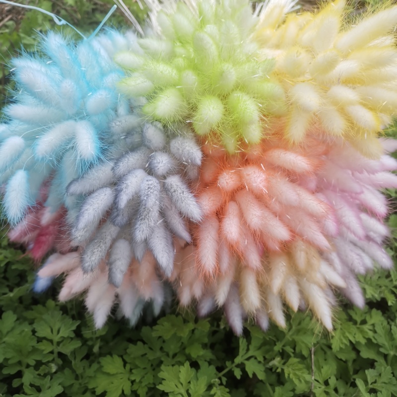 มีสีสัน