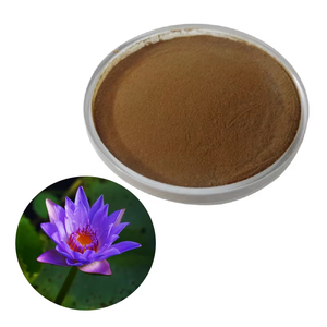 Soins de la peau hydratants d'extrait de Lotus bleu biologique ODM OEM/poudre d'extrait de Lotus bleu biologique/fleur de Lotus bleu séchée - Product Image 4