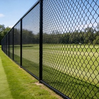Clôture en treillis métallique galvanisé noir avec revêtement PVC, hauteur 0,9 m, rouleau de 30 m, maille losange 45 mm, facile à assembler pour l'avant-cour