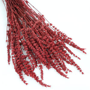 Venta caliente Flores secas reales <span class=keywords><strong>Lavanda</strong></span> <span class=keywords><strong>preservada</strong></span> Flor seca natural <span class=keywords><strong>lavanda</strong></span> para la decoración del hogar del baño - Product Image 1