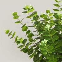 Ranting Daun Eucalyptus Hijau Artificial Berkualitas Tinggi dengan Sentuhan Realistis untuk Dekorasi Meja Pernikahan, Rumah, dan Pesta