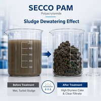 Polyacrylamide Anionique Cationique Conforme REACH SVHC PAM Poudre Blanche Floculant Produits Chimiques pour le Traitement de l'Eau CAS 9003-05-8