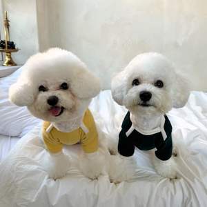 가을 겨울 반려동물 후드티 - 소형견 및 고양이용 고급 폴라 플리스 스웨터 | 비숑/테디/포메라니안 - Product Image 2