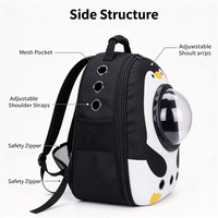 Sac à dos de transport pour animaux de compagnie PC, grande capacité, avec fenêtre de visualisation, respirant, capsule spatiale, sac de voyage extérieur pour animaux, logo personnalisé OEM