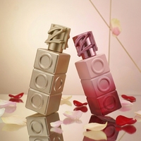 Flacons de parfum vides de 100 ml, design haut de gamme, personnalisables, exclusifs, fabriqués par Anding Manufacturer.