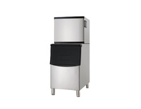Machine à glaçons compacte à économie d'énergie, 315 kg/jour, idéale pour les cafés, les bars et les hôtels