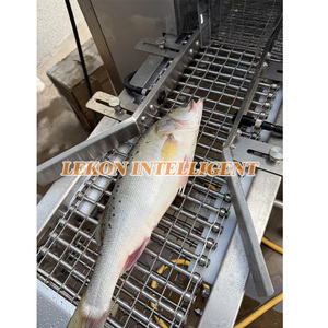 Macchina per la rimozione delle squame di pesce ad alta pressione, senza danni, per salmone, spigola e orata - Product Image 2