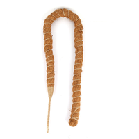 Poteau d'escalade pour plantes de haute qualité, support transparent blanc pour Monstera, support empilable en bois pour plantes, poteau en mousse