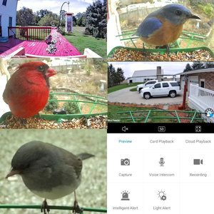 במבוק עץ מגביר ציפור חכם ביקורים מזין עם מצלמה סולארית מונעת אי זיהוי 2.5k hd אוטומטי - Product Image 2