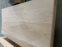 Tablero de Paulownia Marina Premium con Cantos Encolados, Material Ligero para la Fabricación de Tablas de Skateboard y Palas de Kayak