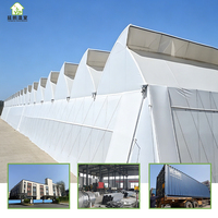 Invernadero de Gran Tamaño con Techo de Ventilación, Multispan, Dentado, de Alta Calidad, Galvanizado en Caliente, Ideal para Regiones Tropicales, Superventas