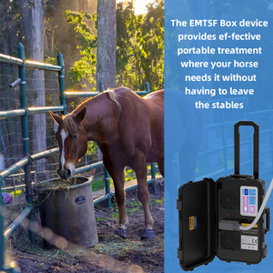 Portable Pemf Magnetic Therapy Device EMTT Loop Horse Magnetic Therapy Pemf Machine - Product Image 6