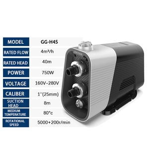 QY Magnet Variable Frequency Booster <b>Pump</b> with Stainless Steel Flow Parts - Product Image 2