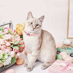 Venta al por mayor lindo diseño de moda gato entrenamiento Collar Anti Meow sonido choque advertencia Collar - Product Image 2