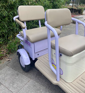 Tricycle Électrique en Gros du Fabricant, Prix Abordable, Scooter de Mobilité pour Personnes Handicapées, <span class=keywords><strong>Chariot</strong></span> de Courses Domestique pour Adultes - Product Image 3