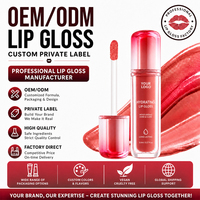 Gloss mat transparent hydratant de haute qualité, personnalisé, à base d'ingrédients naturels et biologiques, enrichi en pigments, sous marque privée
