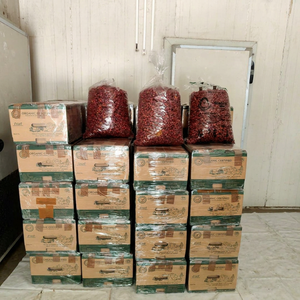 Piment Naga Mircha indien séché ultra piquant Bhut Jolokia en vrac avec une valeur SHU >1000000 pour les sauces piquantes, les assaisonnements et les marinades - Product Image 1