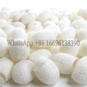 ขายส่งเครื่องปั่นไหมหนอน เครื่องวาดไหมหนอน เครื่องม้วนไหมหนอนเพื่อการพาณิชย์ - Product Image 6