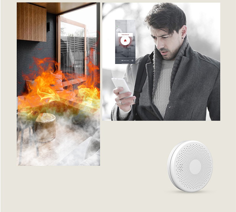 Tuya WiFi Smart CO and Smoke Alarm Detector 2 in 1 Combination alarm sound 85dB Wifi Smoke and Carbon Monoxide Alarm Detector