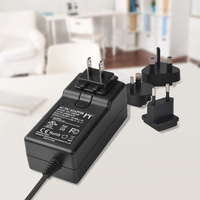 Adaptateur secteur universel 24V 2.0A avec prise murale pour AC DC 24v 2a pour éclairage LED