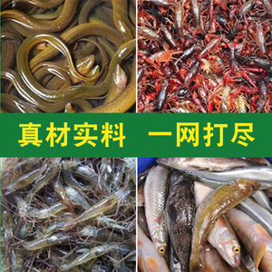 Cebo Granulado para Peces Henan Wangzhongwang, Cebo para Cangrejos, Señuelo de Pesca de Agua Dulce, 330 Granos por Red, Atrapa Todas las Especies - Product Image 3