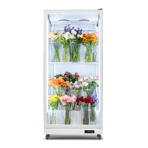 Refrigerador Exhibidor de Flores con Puerta de Vidrio, Refrigerador Comercial para Floristería - Product Image 1
