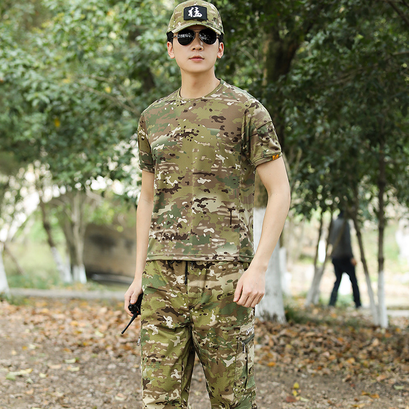 Mimetica a strisce di tigre