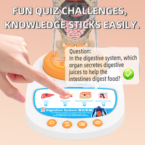 Modelo del Cuerpo Humano Interactivo con Función de Voz, Herramienta de Práctica de Anatomía <span class=keywords><strong>Sensorial</strong></span>, Base Resistente, Estación de Montaje, Juguete STEM - Product Image 3