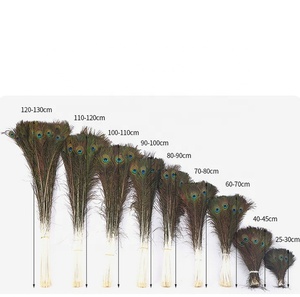 Peacock lông nhuộm Mô Hình DIY Wedding party Carnival trang trí nội thất Nguồn cung cấp nghệ thuật bán buôn - Product Image 4