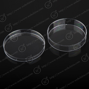 In Petri Dishes 90mm Single Compartment High Transparency Laboratory Testing Consumables - Product Image 2