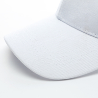Gorra Snapback Deportiva para Hombre, Lisa, con Logo Personalizado, 6 Paneles, de Algodón, Servicio OEM, Curvada, Deportiva, para Adultos, 1 Unidad