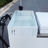 Tricycle Congélateur Commercial à 3 Roues, Chariot Électrique Mobile 36V 500W pour Aliments, Vélo de Présentation de Sucettes Glacées et Crèmes Glacées