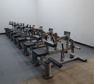 Machine à soulever les mollets assise, faible MOQ, couleur de surface personnalisée, équipement de musculation commercial pour salle de sport - Product Image 4