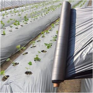 Film de paillage PE doré anti-UV en plastique moulé de Shandong pour légumes, fruits et plantes - Product Image 6