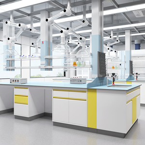 Table de travail de laboratoire modulaire en acier personnalisée avec armoires-Design moderne pour les ateliers des hôpitaux et des écoles - Product Image 6