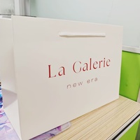Custom Luxury Wine Packaging Recyclable Cardboard Paperboard with Your Own Logo Print Fashionable Handle for Clothes Shoes Gifts