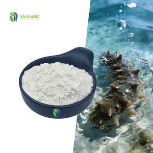 SLBIO Supply - <span class=keywords><strong>Polvo</strong></span> de Péptidos de Pepino de Mar al 90%, Extracto de Pepino de Mar de Grado Alimenticio - Product Image 1